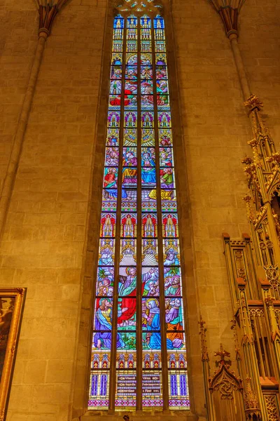 Plzen República Checa Setembro 2021 Uma Tomada Vertical Interior Catedral — Fotografia de Stock