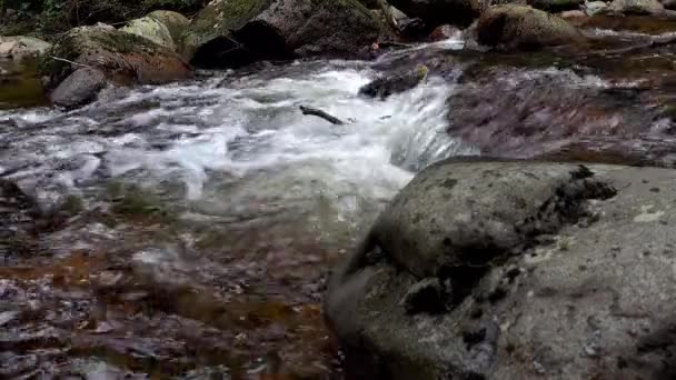 Horský Potok Řeka Kameny Voda Příroda Vodopád Skály Zelený Les — Stock video