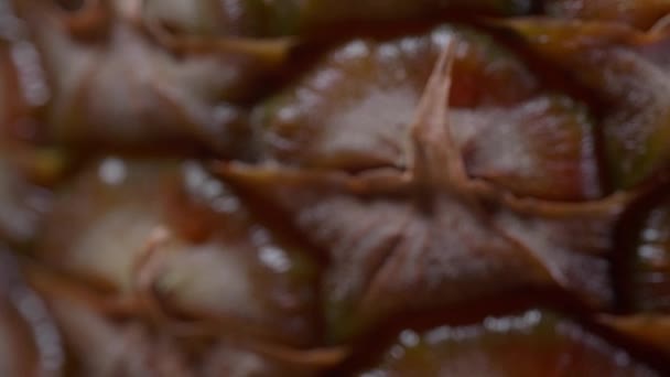 Zbliżenie Materiał Filmowy Całego Ananasa — Wideo stockowe
