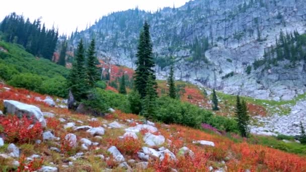 Wunderschöne Landschaft Mit Einem Berg Den Bergen — Stockvideo