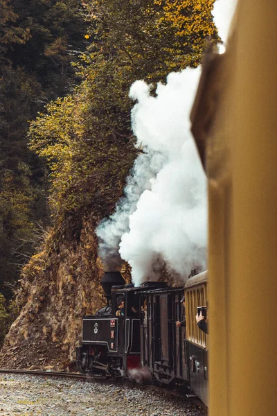Vertical Shot Steam Train Background Dense Trees Autumn — Stock Photo, Image