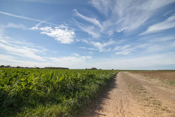 Una Hermosa Vista Paisaje Con Vegetación Bajo Cielo Nublado —  Fotos de Stock