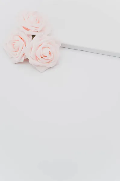 Rosa Rosenblütenkopf Auf Einer Leeren Leinwand Auf Weißem Hintergrund Mit — Stockfoto