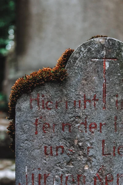 Colpo Verticale Lapide Ricoperta Muschio Cimitero — Foto Stock