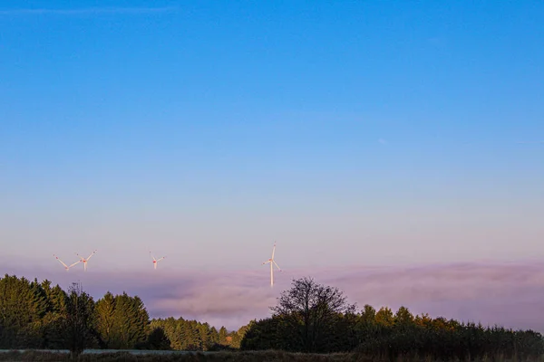 Zelený Les Pole Větrných Mlýnů Dálce — Stock fotografie