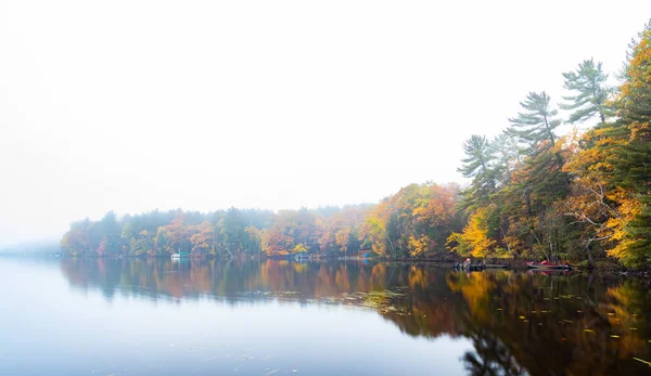 Lake Surrounded Forest Fall Colors Foggy Day — Stock Photo, Image