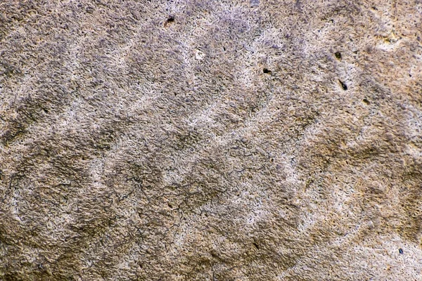 Het Bruine Stenen Oppervlak Voor Behang Achtergrond — Stockfoto