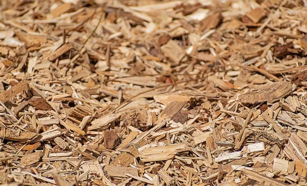 Cut Wood Pieces Sawdust Pattern Natural Material — Stock Photo, Image