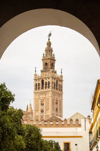 Vertical Shot Giralda Bell Tower Unfolding Arch Seville Spain — Stock Photo, Image