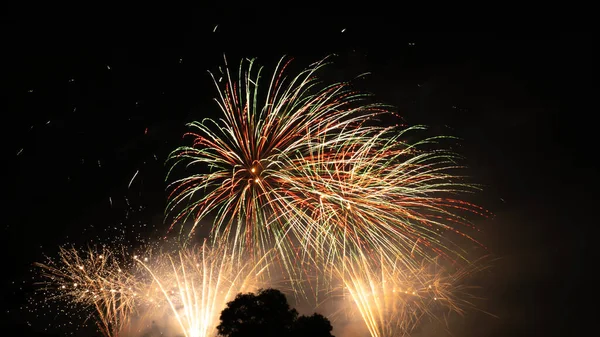 Egy Színes Tűzijáték Égen Éjszaka — Stock Fotó