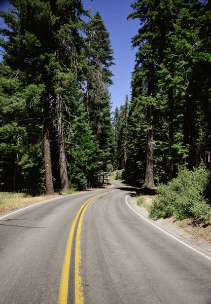 Condução Através Parque Nacional Kings Canyon — Fotografia de Stock