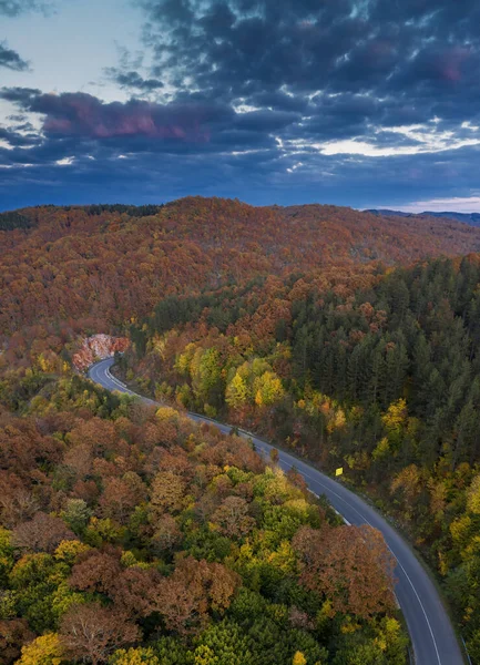 Vista Aérea Para Uma Estrada Floresta — Fotografia de Stock