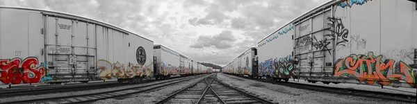 美国堪萨斯城 2016年3月24日 美国堪萨斯城一个墙上有涂鸦的火车车厢全景 — 图库照片