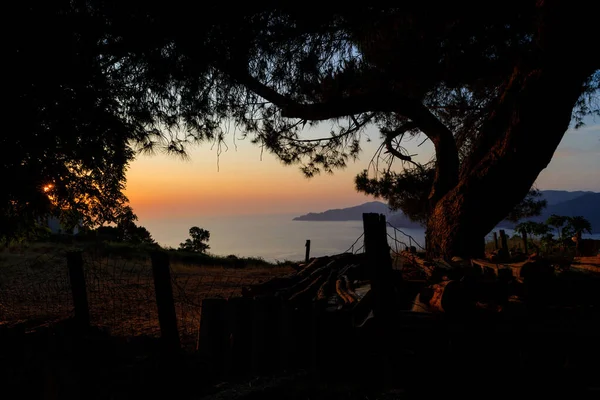 Прекрасне Оранжеве Безхмарне Небо Заходу Сонця Над Спокійним Морем Вид — стокове фото