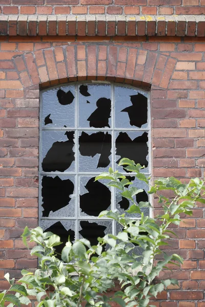 Ein Altes Zerbrochenes Fenster Einem Alten Hafenschuppen — Stockfoto