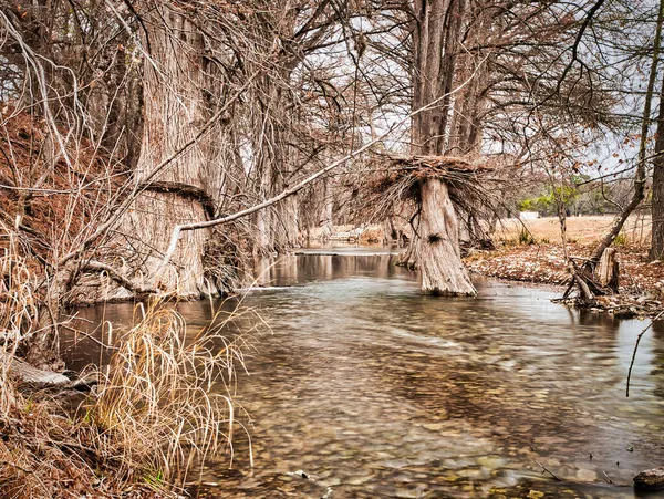 Ein Fluss Und Kahle Bäume Ouray Colorado Und Den Bergen — Stockfoto