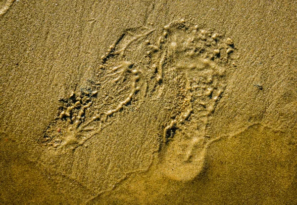 Closeup Shot Footprints Sand — Stock Photo, Image