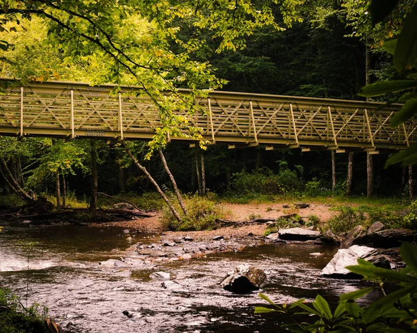 Eine Landschaft Der Hängebrücke Über Den Fluss — Stockfoto