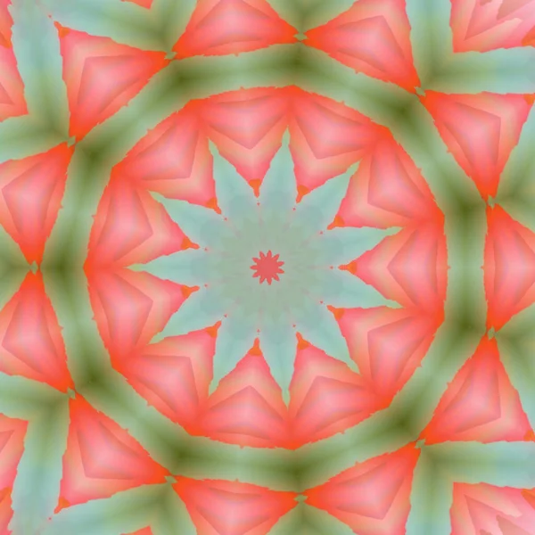 Light Mandala Pattern Pink Green Floral Elements — Stock Photo, Image