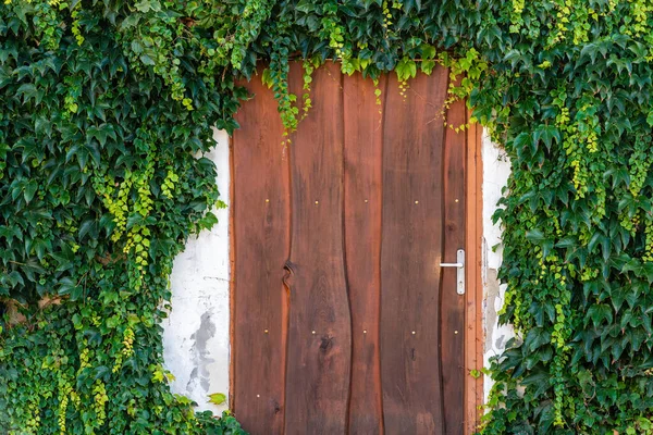 Porta Legno Decorata Con Fogliame Verde — Foto Stock