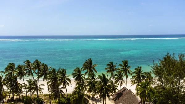 Vista Playa Arena Con Palmeras Hermoso Paisaje Marino — Foto de Stock