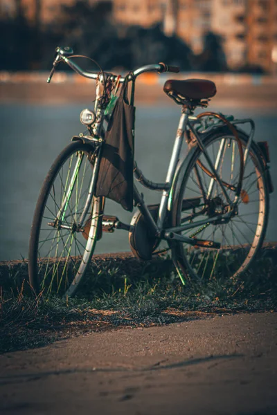 Tiro Vertical Uma Bicicleta Estacionada Grama — Fotografia de Stock