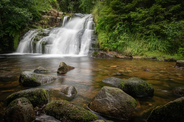 Uma Bela Cachoeira Uma Floresta Verde — Fotografia de Stock