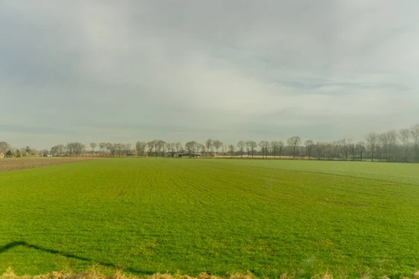 Europe Belgium Bruges Large Green Field Trees Background — Stock Photo, Image