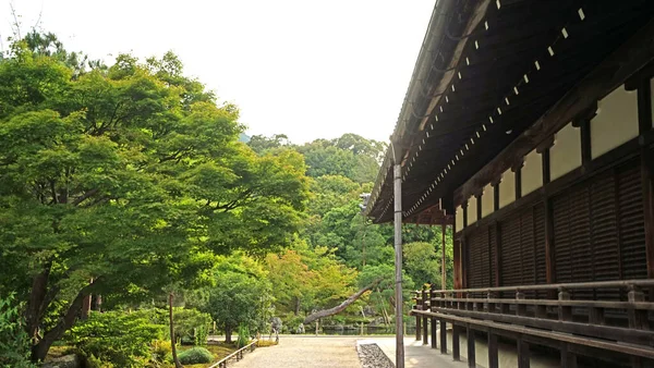 Ein Traditioneller Japanischer Tempel Und Zen Garten Mit Grünen Bäumen — Stockfoto