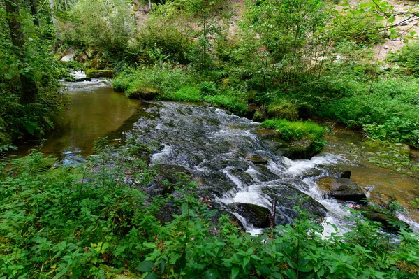 Ein Schöner Blick Auf Einen Kleinen Gebirgsbach Wasser Fließt Über — Stockfoto