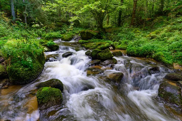 Ein Schöner Blick Auf Einen Kleinen Gebirgsbach Wasser Fließt Über — Stockfoto