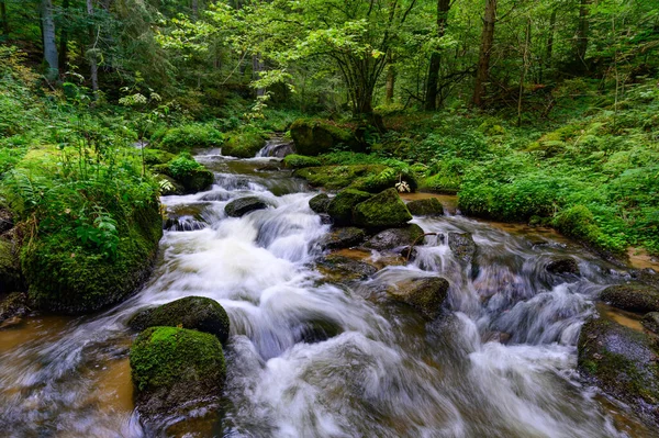 Krásný Výhled Malý Horský Potok Tekoucí Šplouchající Mechových Kamenech Lese — Stock fotografie