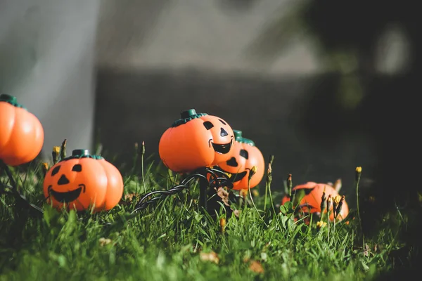 Uma Decoração Parque Halloween Com Abóboras — Fotografia de Stock