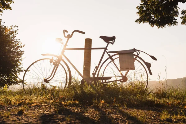 Stary Rower Pobliżu Słupka Polu Światłem Słonecznym Tle — Zdjęcie stockowe