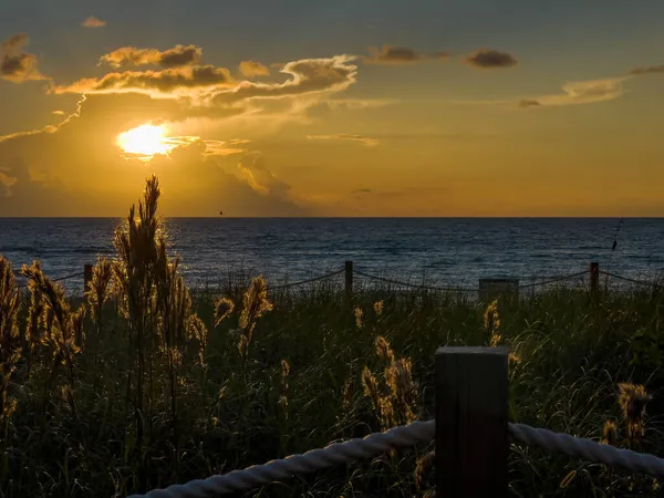 Una Spiaggia Ricoperta Verde Circondata Dall Oceano Atlantico Durante Alba — Foto Stock