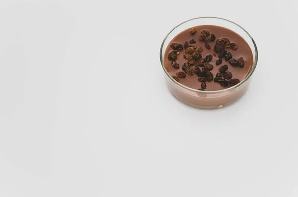 Вкусный Какао Шоколадный Пудинг Изюмом Сверху Миске Местом Текста — стоковое фото