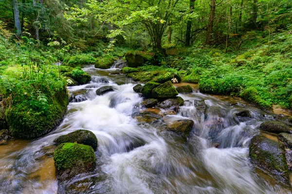 在青翠的森林里 清澈的河水流过青苔斑斑的石子 景色美丽极了 — 图库照片