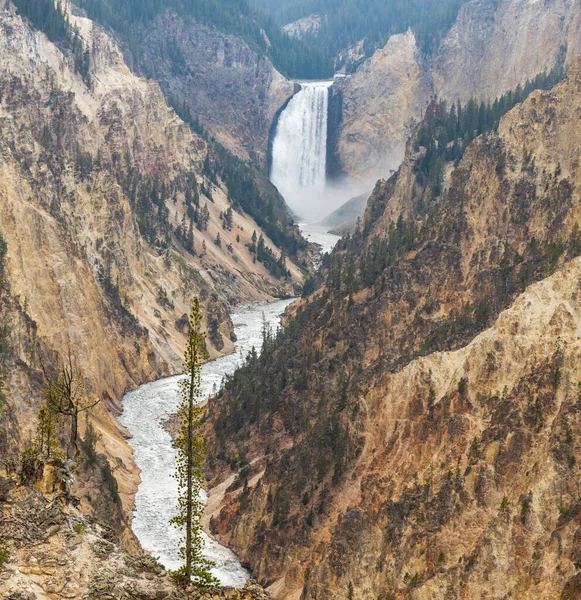Prachtige Lagere Watervallen Van Grand Canyon Van Het Yellowstone National — Stockfoto