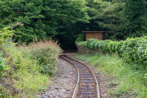 植物に囲まれた公園内の鉄道 — ストック写真