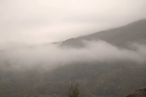 Őszi Kilátás Egy Ködös Erdőben — Stock Fotó
