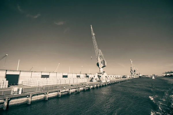 Rotterdam Niederlande September 2021 Ein Schöner Blick Auf Einen Hafen — Stockfoto