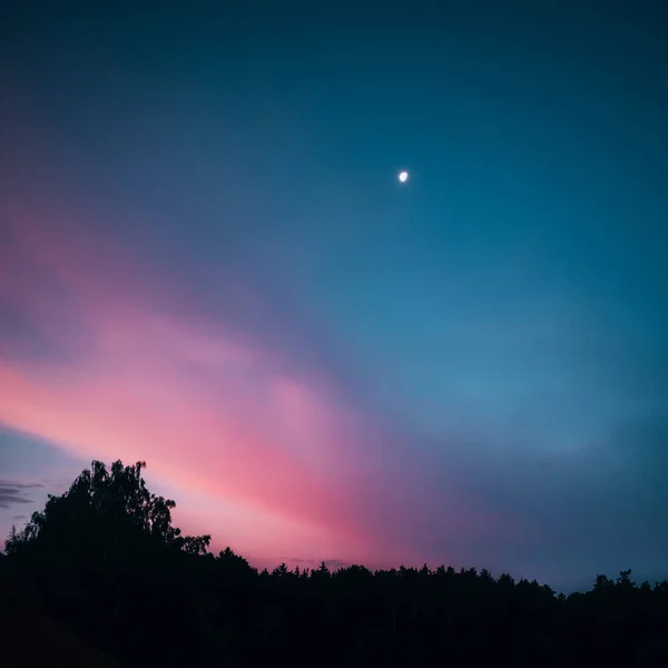 Bright Moon Colorful Sunset Sky Treetop Silhouettes — Stock Photo, Image