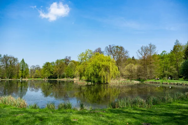 Picturesque View Small Lake Park Benches People Resting — Stock Photo, Image