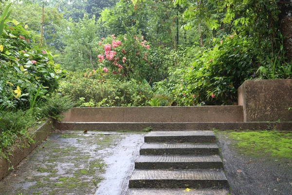 Escalier Avant Une Maison Avec Beau Jardin Avec Des Plantes — Photo
