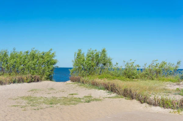 Sebuah Jalan Menuju Pantai Dengan Laut Biru Latar Belakang Bawah — Stok Foto