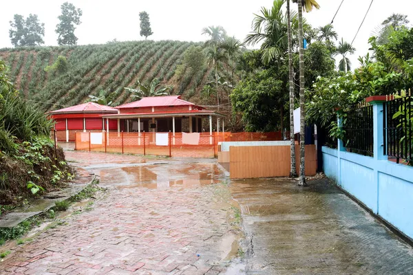 Een Ontvangstgebouw Van Ananas Tuin Voor Koper Kijker — Stockfoto