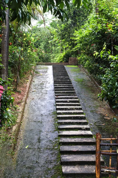 Tiro Vertical Das Escadas Dianteiras Uma Casa Com Belo Jardim — Fotografia de Stock