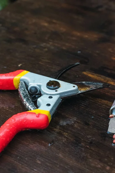 Vertical Closeup Shot Red Secateurs Wooden Table Outdoors — Stock Photo, Image