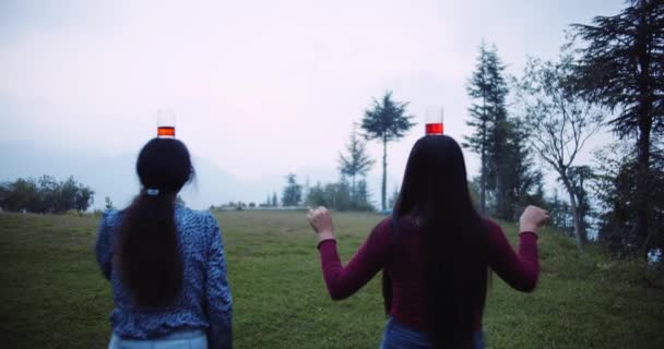 Group Friends Enjoying Picnic Park Carrying Glasses Wine Heads — Vídeo de stock