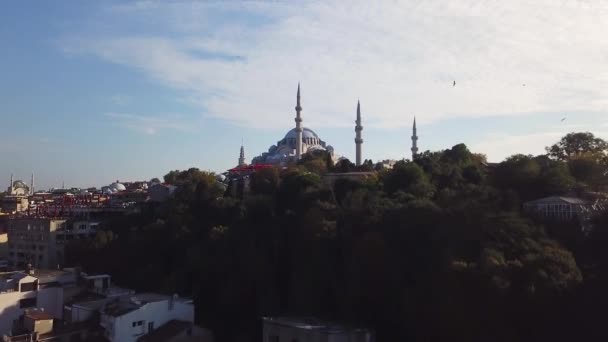 2019年7月23日 伊斯坦布尔 Suleymaniye清真寺的全景 — 图库视频影像